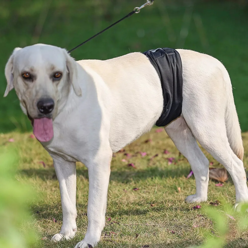 1pcs Washable Pet Diaper for Male Dog