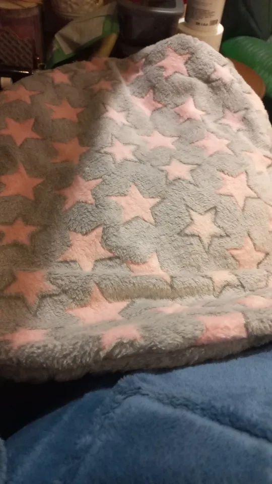 Cozy Winter Mats, Soft Beds for Cats & Dogs on the Go photo review