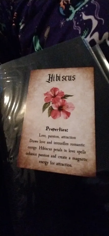 20pcs Plant Herbal Cards With Botanical Illustrations Herb Infomation For Apothecary Journal,mystical Decor,witchcraft Herb Card photo review