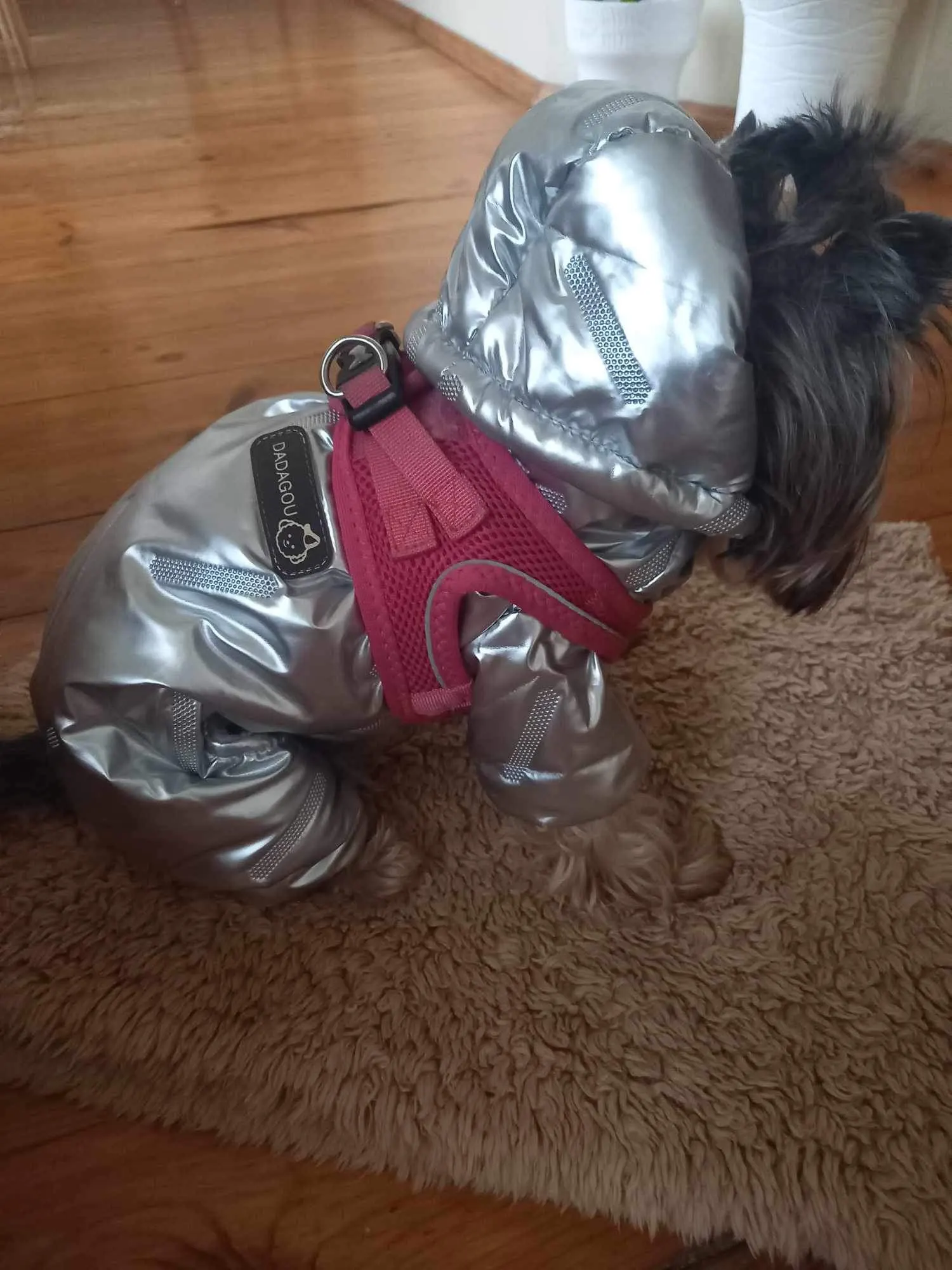 Cozy Canine Coverall, Winter-Ready Jumpsuit for Petite Paws photo review