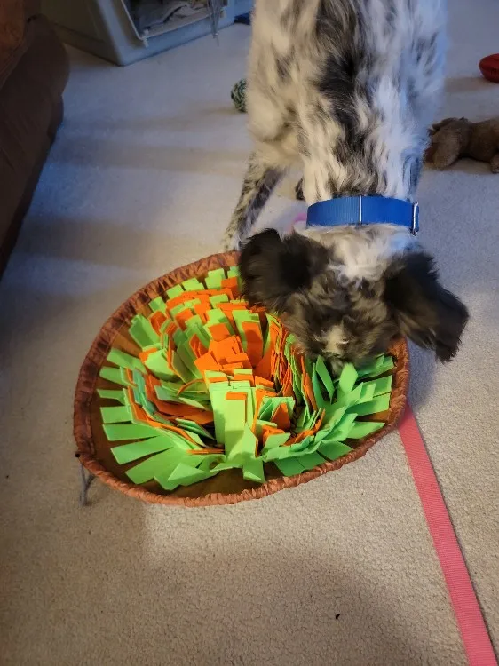 Snuffle Mat (Interactive Feeding Toy) 17.5" x 17.5"