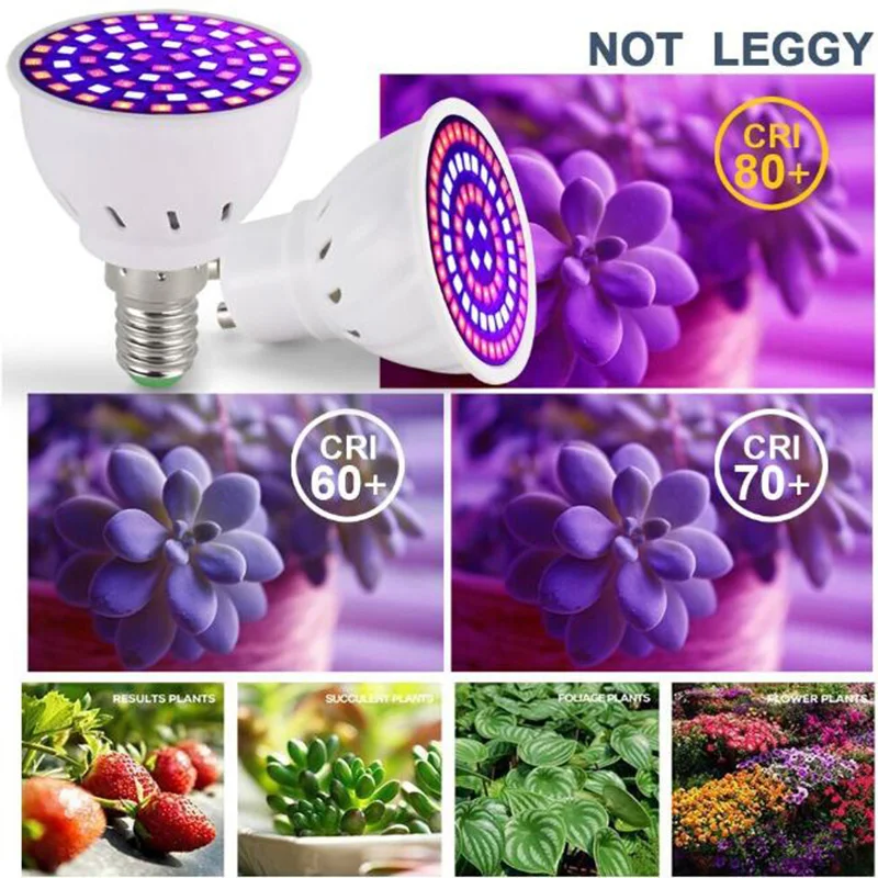 Slide image 040a56f47f5b4a319c1d2a14b5fb8b2a