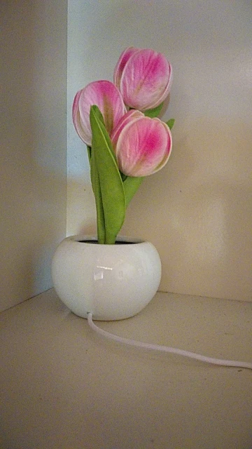 Tulip Table Lamp: Bring Romance and Beauty to Your Space photo review