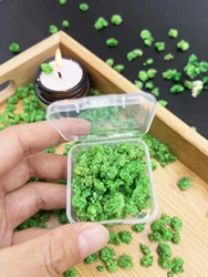 Artisan Dried Flowers for Crafting: Candle, Soap, and Nail Art Enhancements (Green)