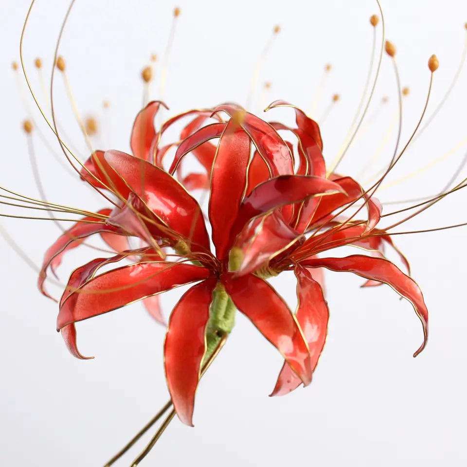 Hairpin red licoris Spider Lily Kansas flowers from wire