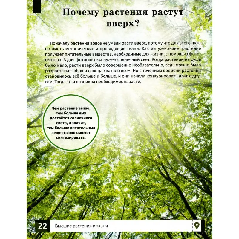 Фото Книга Растения Филатов Максим Алексеевич №5