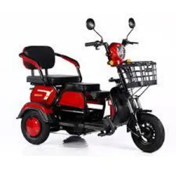 Triciclo Elettrico a 3 Ruote per Adulti o Anziani - Offerta Speciale con Codici Digitali Prepagati - Categoria Speciale