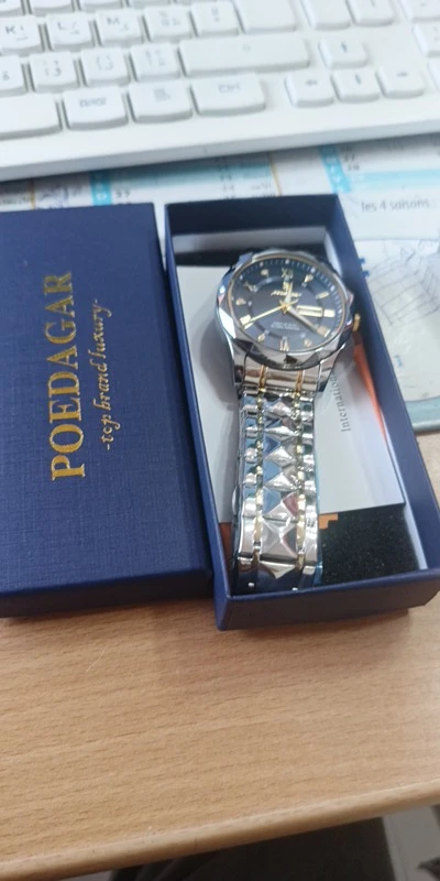 POEDAGAR Luxury Man Wristwatch photo review