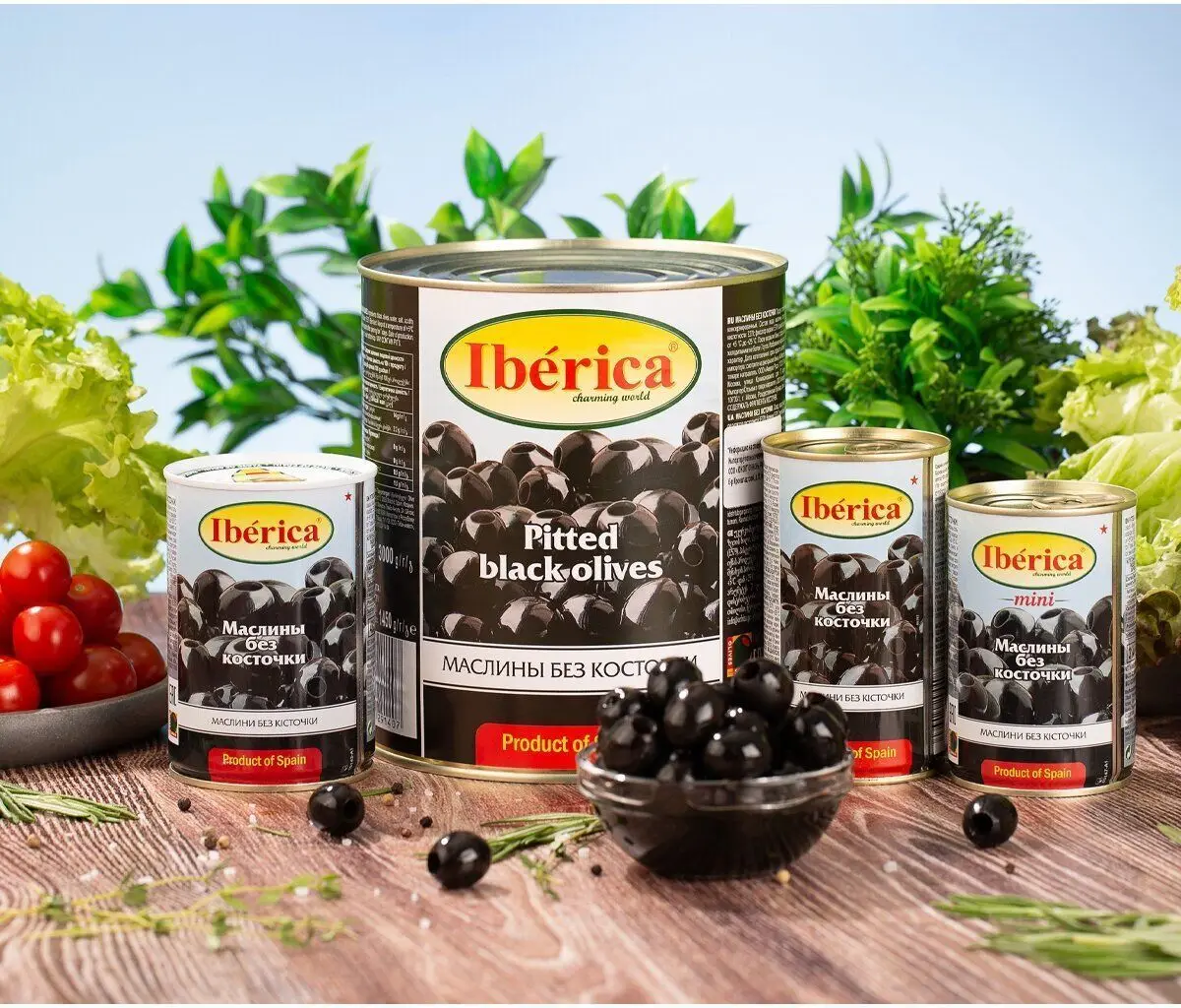 Рисунок 2 - Упаковка 12 банок Маслины Iberica