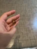 Изображение товара 3