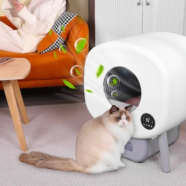 s.click.aliexpress.com