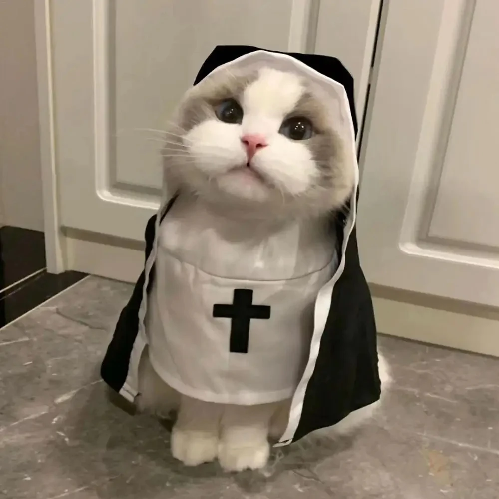 Nun Pet Halloween Costume 3