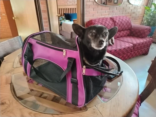 Transportadora Para Perro