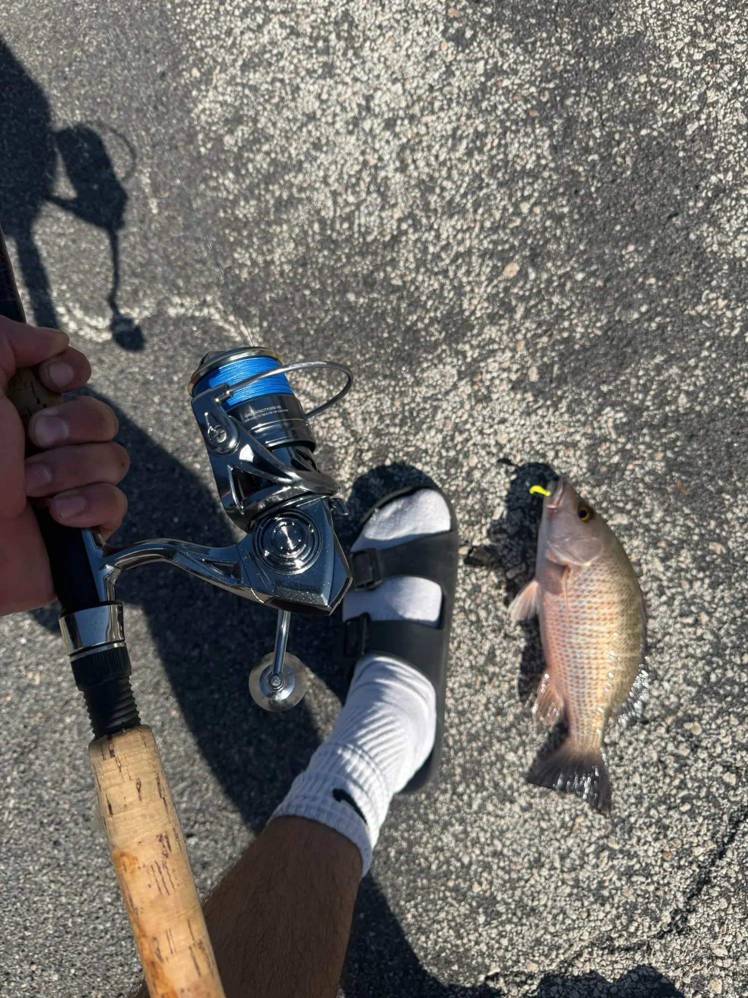 FTK 300/500m Invisible Fishing Line Speckle Fluorocarbon Coating Line 0.20mm-0.50mm 4.13LB-34.32LB Super Strong Spotted Line photo review