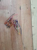 Изображение товара 1
