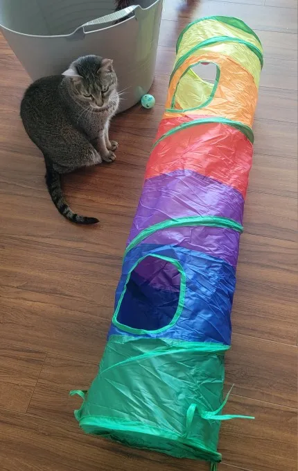 foldable Cat Tunnel Toy photo review