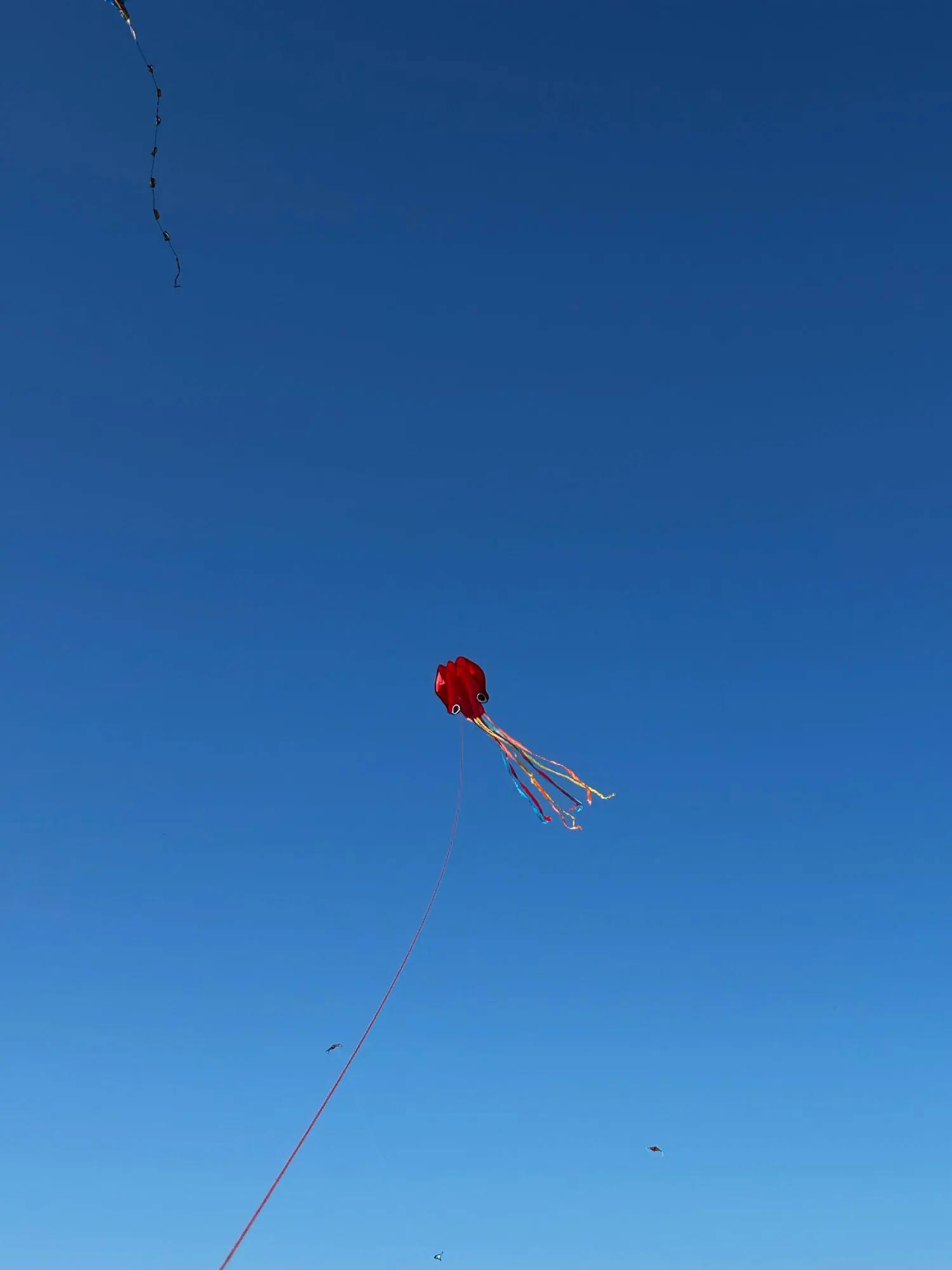 3m Octopus Kite Cartoon Animal Outdoor Easy-to-fly Soft Kite with Sled Christmas/Halloween Gifts Kites for Adults High Quality photo review