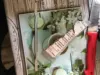 Изображение товара 5