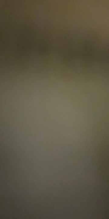 TappyTap™ – The Automatic Cat Self-Petter & Massager photo review