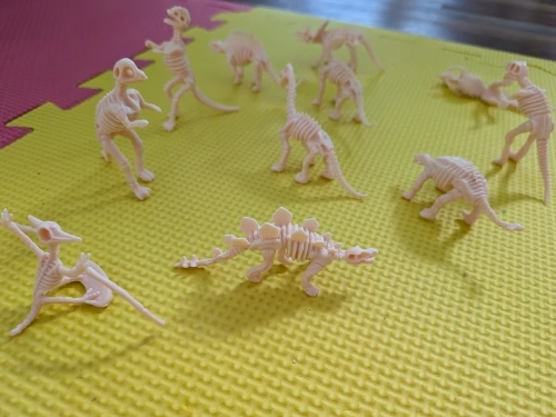 12 Pièces Modèle De Squelette De Dinosaure Archéologique De Simulation