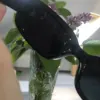 Изображение товара 2