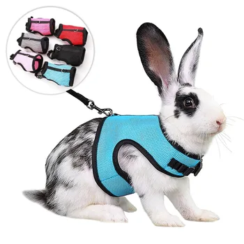 Breathable and stylish pet vest-style harness with adjustable soft strap and elastic leash set, suitable for rabbits and cats