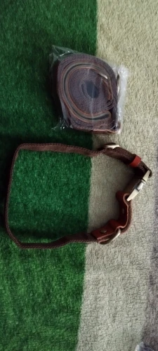 Pet Walk Essentials: Stylish Collar and Leash Set for Your Pug's Daily Walks photo review