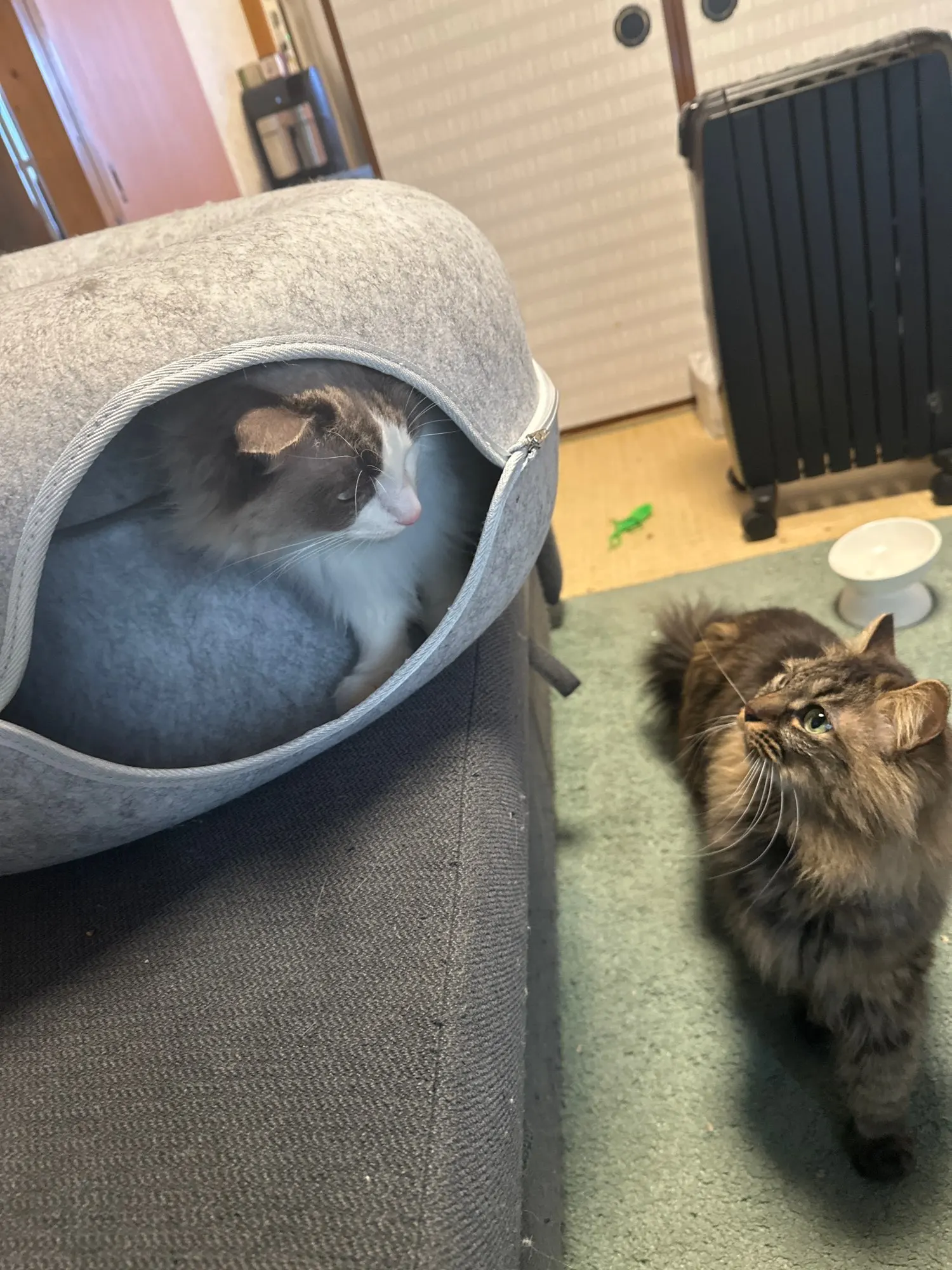 RonronCocon™ — Nid apaisant anti-stress pour chats