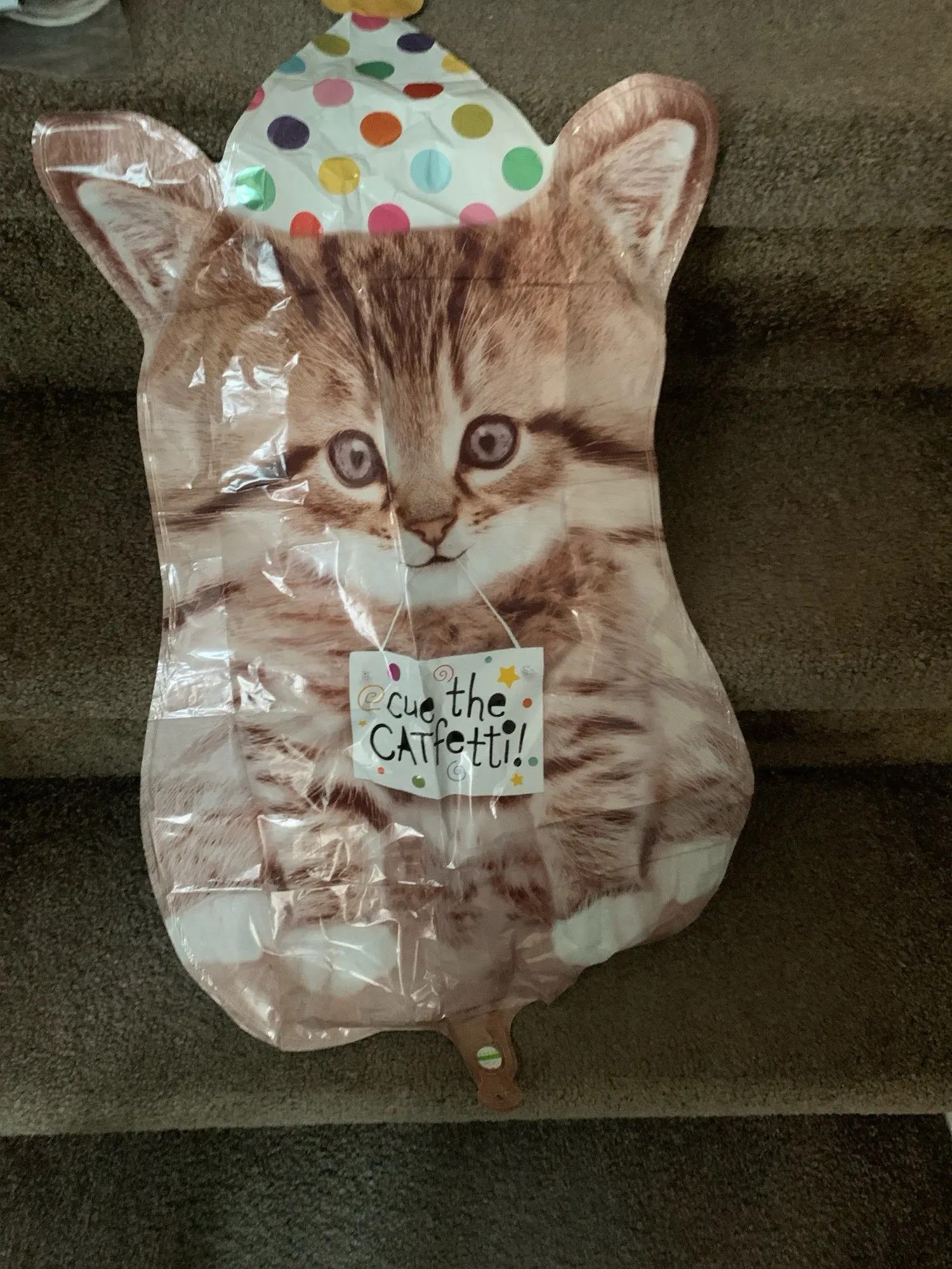 Gorro de cumpleaños de nuevo producto, globos para perros y gatos, globos  de decoración para fiesta de cumpleaños con temática de mascotas, bonito  bal de película de aluminio en forma de gato -, image size:1500x2000