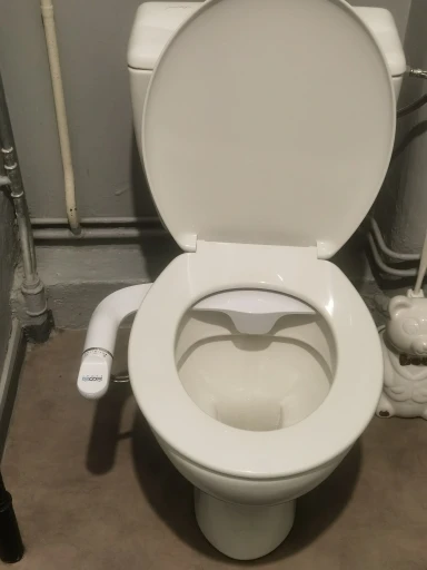 Attachment image review on Bidet Slim Design Toilet Seat