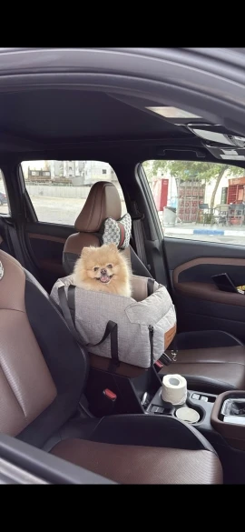 Siège Auto Central pour Petit Chien – Sac de Transport Sécurisé et Portable