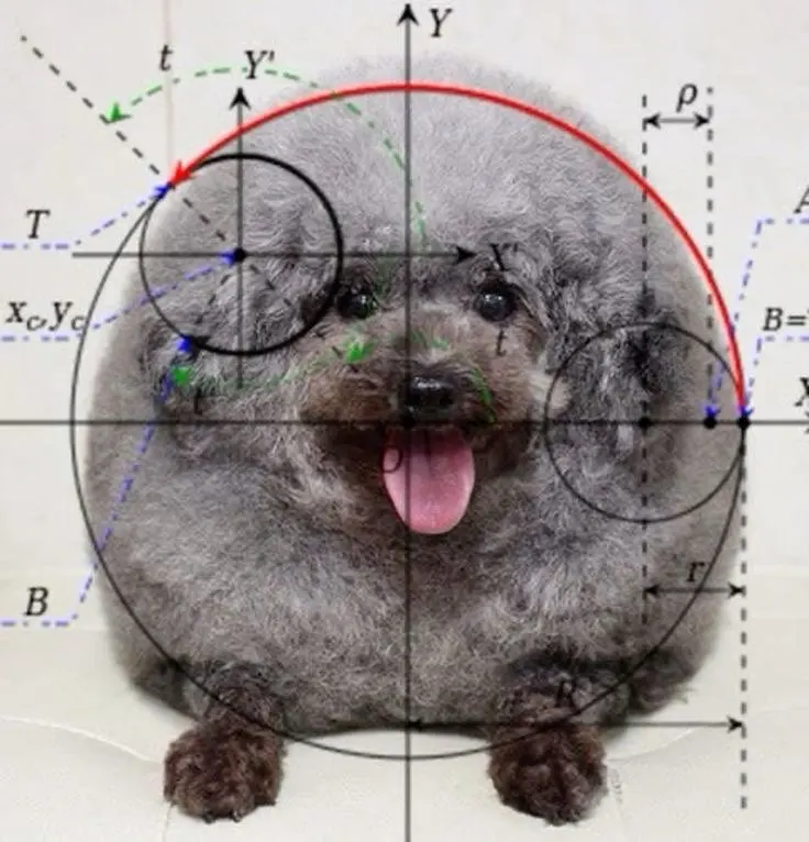 3D Printing Pen Set | Creative Drawing Pen with 36 PLA Filaments photo review