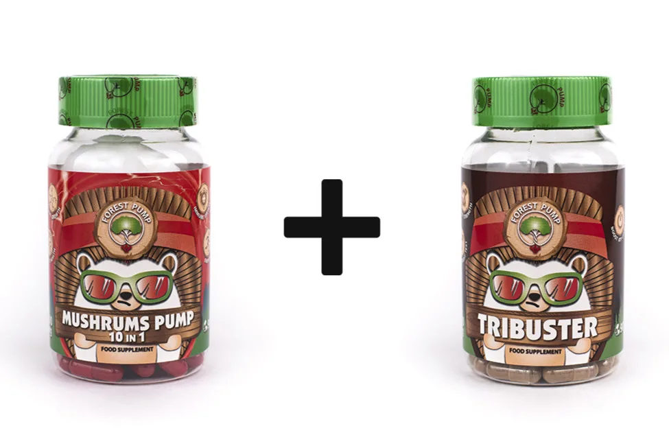 Набор Mushrums Pump 10 in 1 500 mg/90 капсул + Трибустер 550 mg/90 капсул/Forest Pump/ Витамины для мужчин