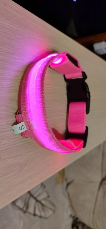 GlowSafe – Leuchtendes Halsband & Leine für maximale Sichtbarkeit bei Nacht photo review