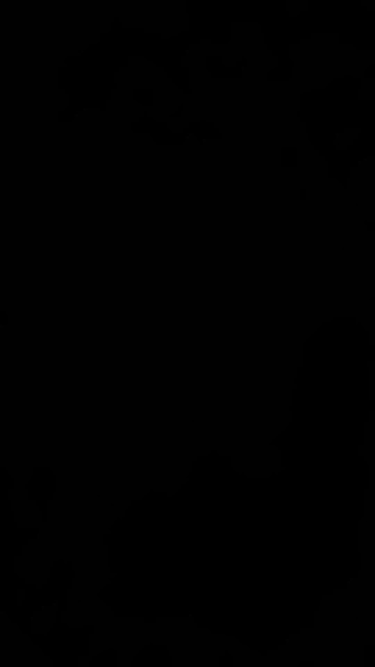 Balança Corporal Bioimpedância Profissional Bluetooth - Neverdie Store photo review