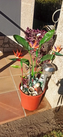 3pcs Artificial Bird Of Paradise Flowers Rubber Strelitzia 24.5'' Long Stem Flower Suitable For DIY Home Party Theme Decor photo review