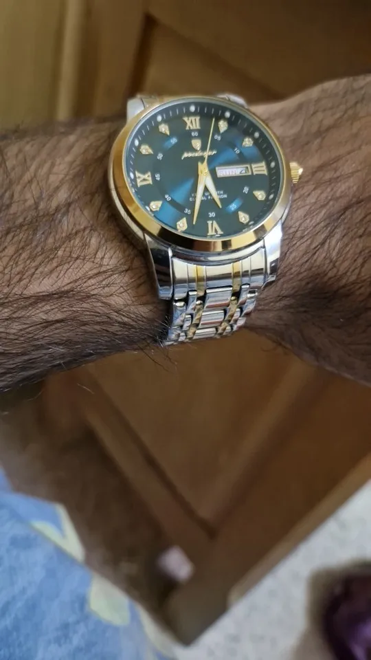 POEDAGAR Luxury Watch for Men photo review