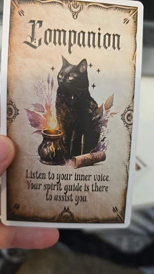 Wise Witch Oracle Cards – 20-Card Tarot and Divination Deck