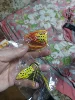 Изображение товара 2