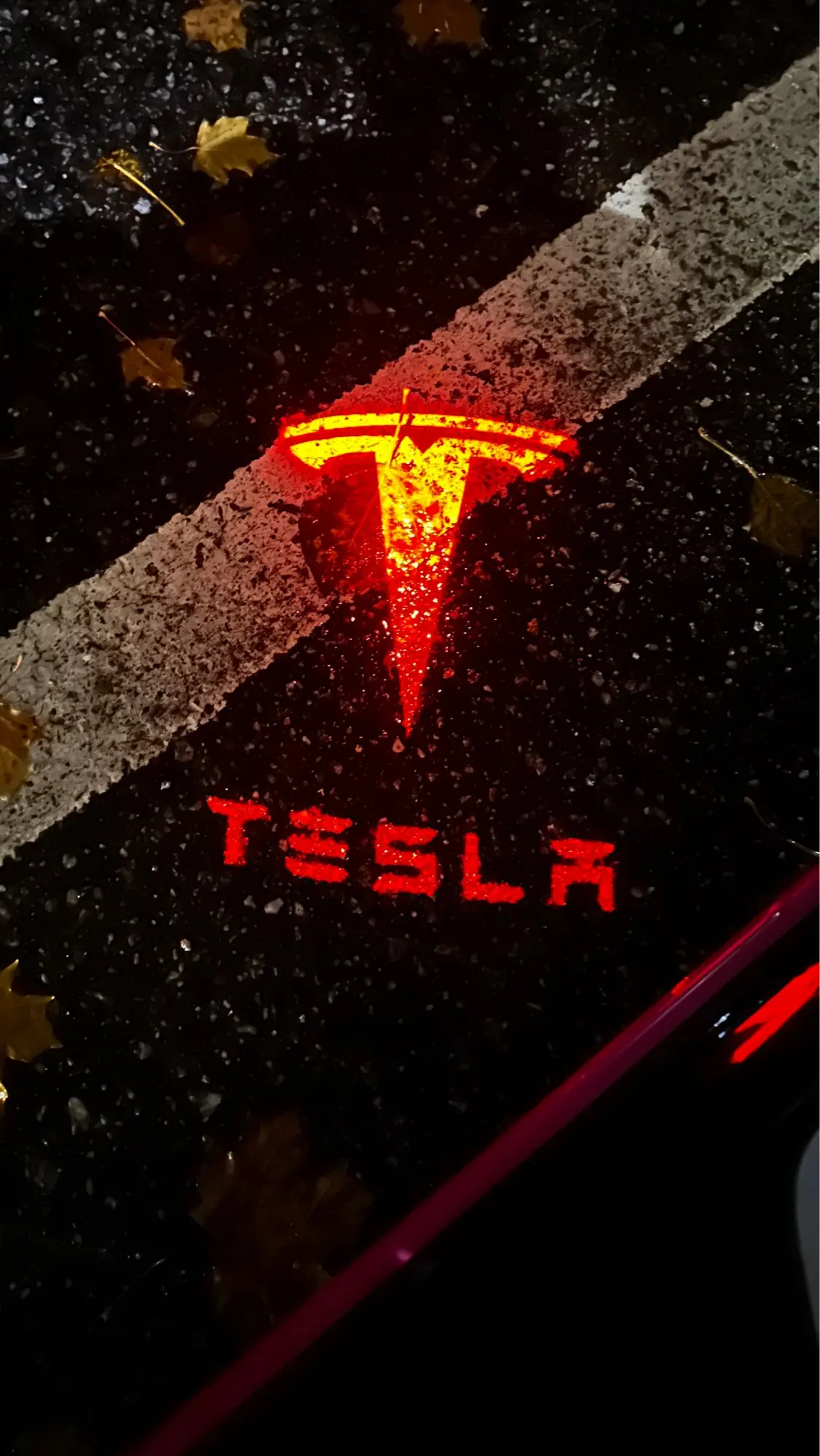 Midnight Glow, Tesla Projector Doors Lights customer photo