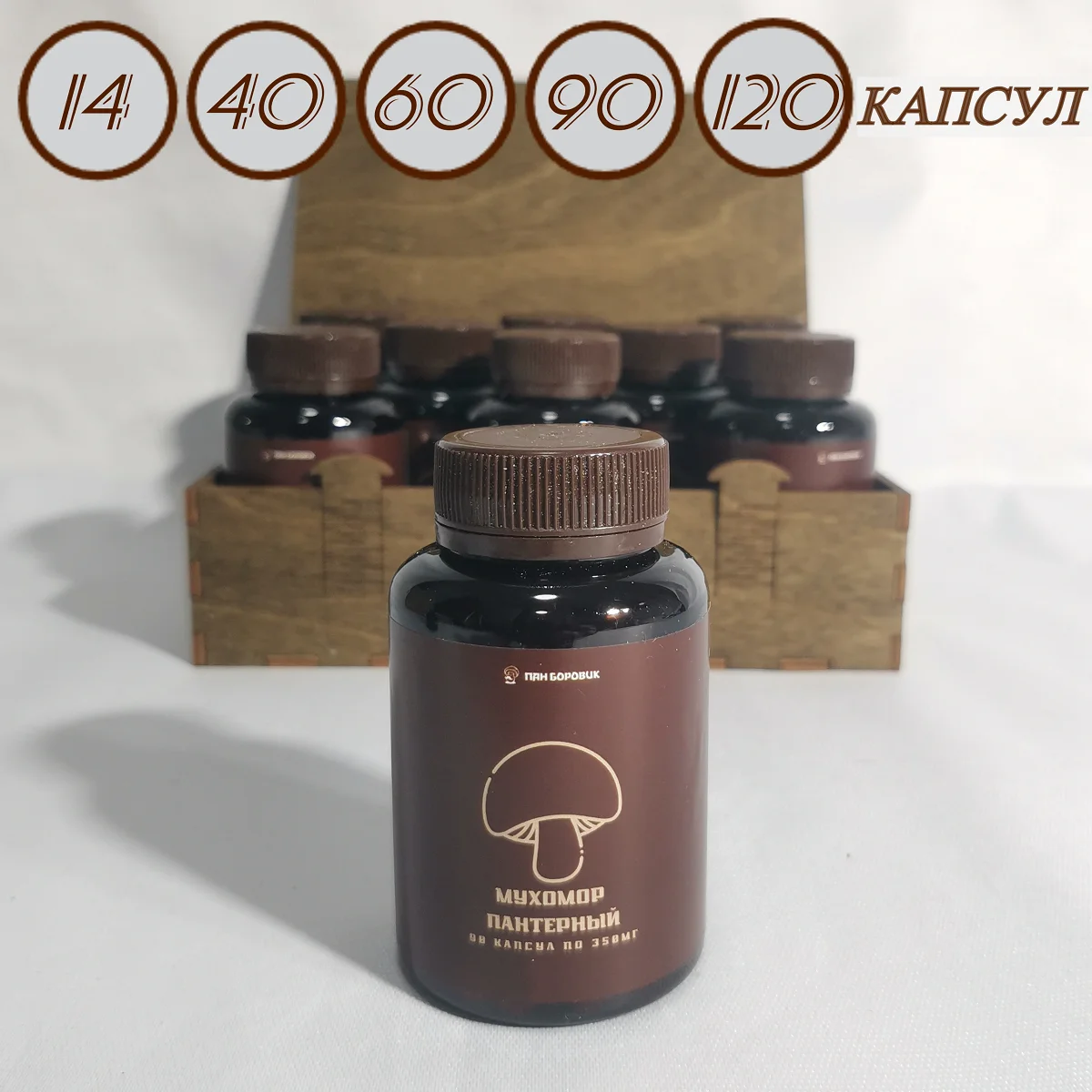Agaric Пантерный Dried For Микродозинга Capsules Collection 2022 Year