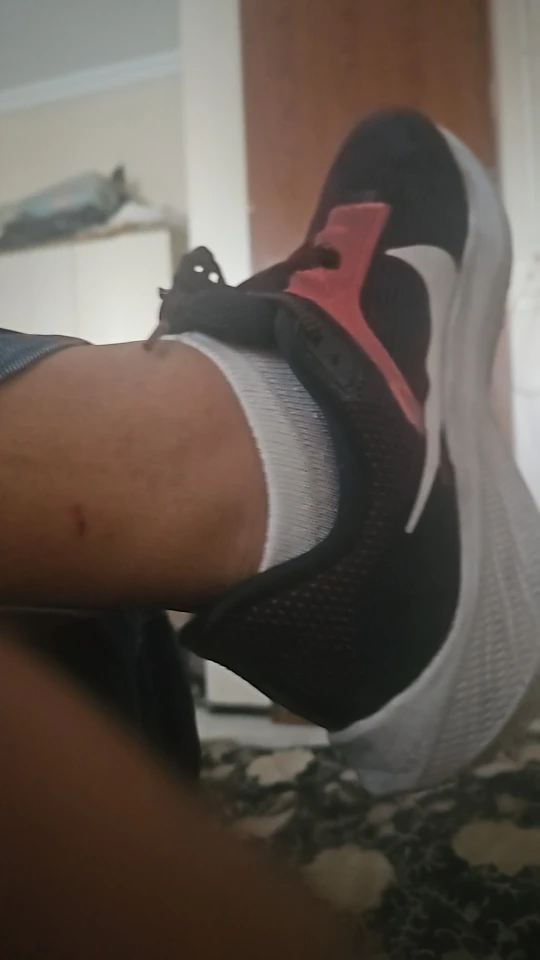 meias masculina kit 12 pares，12 Pares meias masculino,Meias De Barco，meias esportivas，meias de algodão masculino，respirável,mens photo review