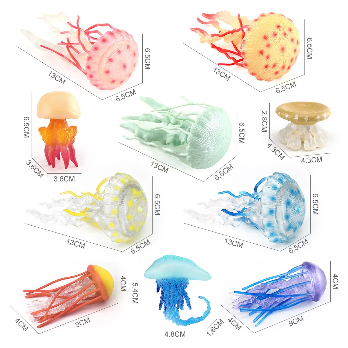 Simulation Marine Life Jellyfish Starfish Model Action Figures Infauna Sea Anemone Animals Coral Miniacture Kids Education Toys images - 6