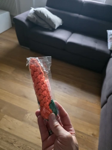 Carrot Rope Pet Toy photo review