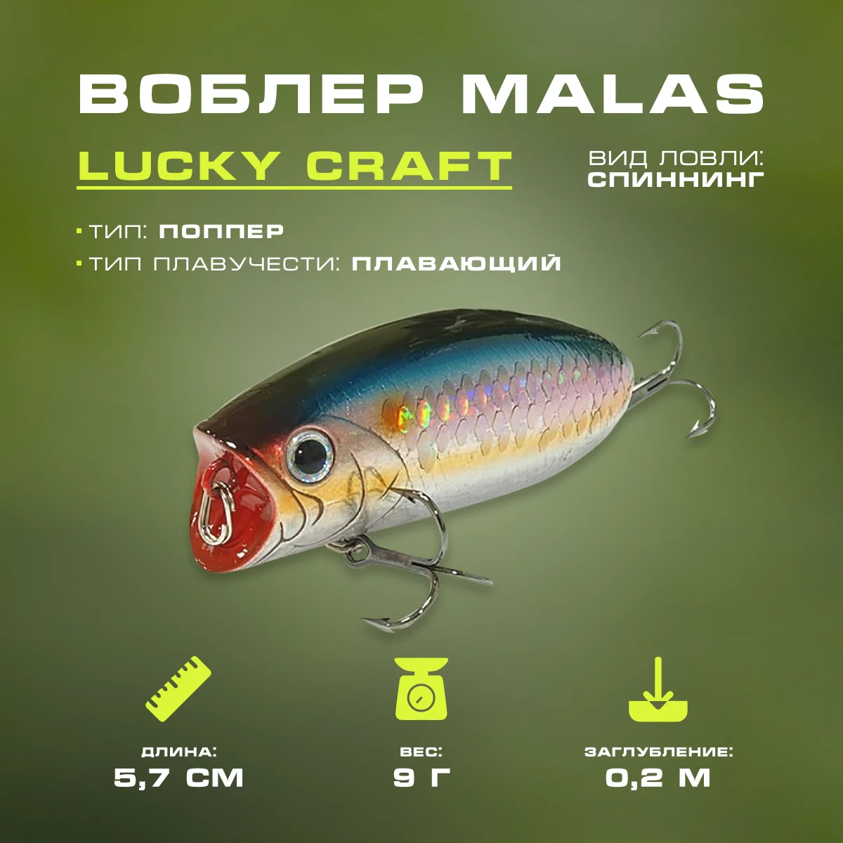 Lure Lucky Craft Malas-270 Ms American Shad 511 (67851) - Fishing Lures -  AliExpress