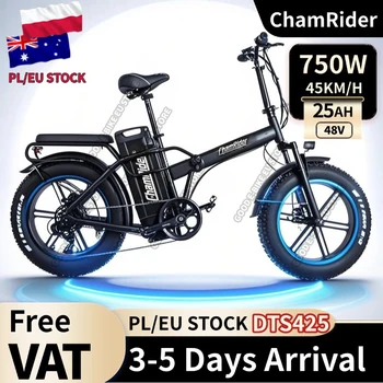 ChamRider DTS425 Ebike 48V25AH Batteria Portata 125KM Potenza 750W Scelta di valore migliore per ciclisti europei per la consegna di cibo Bici elettrica