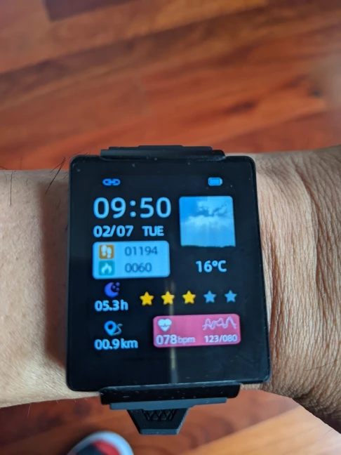 Non-Invasive Blood Glucose Test Smart Watch (Only For Reference, Cannot Replace Actual Medical Test Kits)