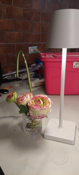 Rechargeable LED Table Lamp Touch Switch 3 Levels Dimmable Desk Lights Bar Club Dinner Creative Decorative Ambient Lighting photo review