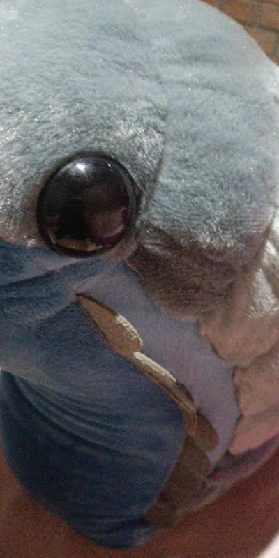 Kawaii Isopod Animal Plush