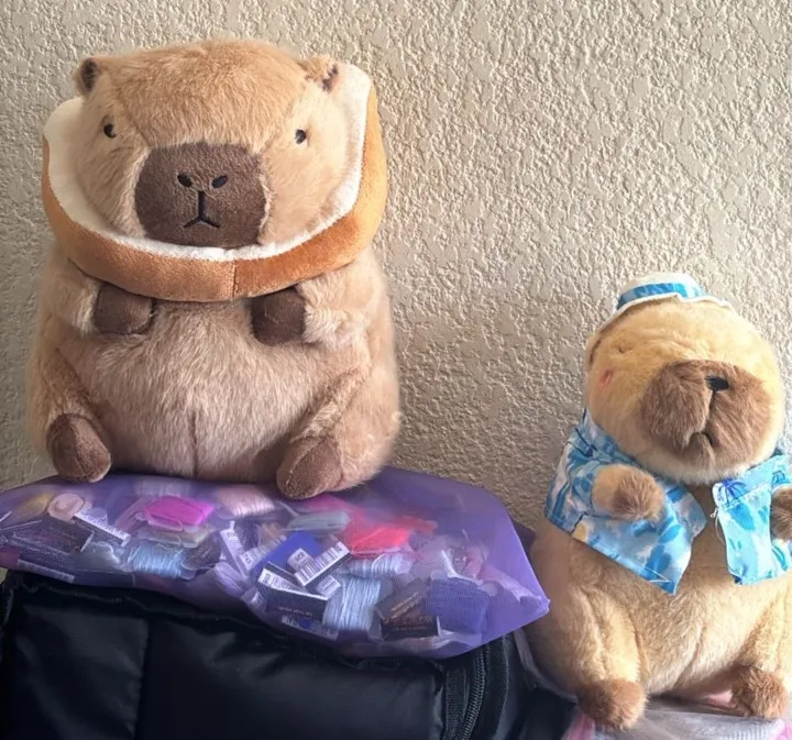 Kawaii Capybara Plushies - Bread & Flower Edition photo review